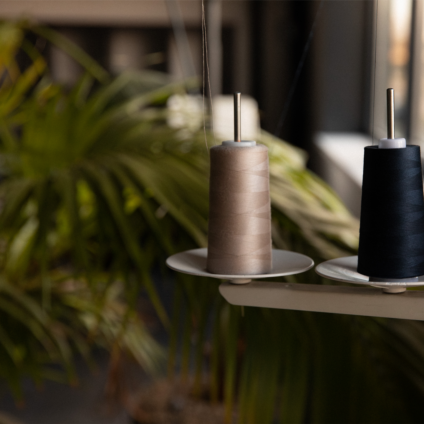 Image 35603269976217