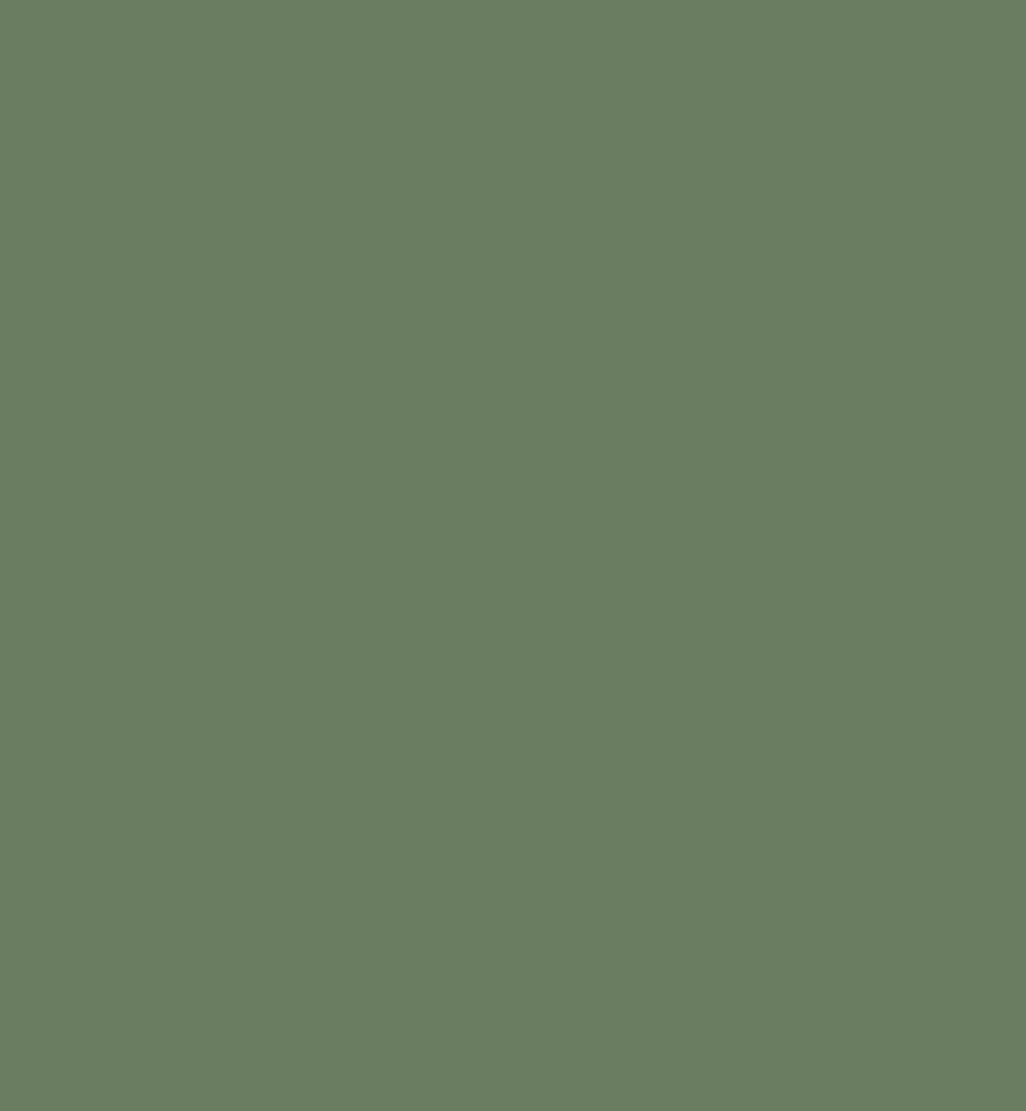 Image 34717970006169